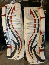 Vaughn goalie set