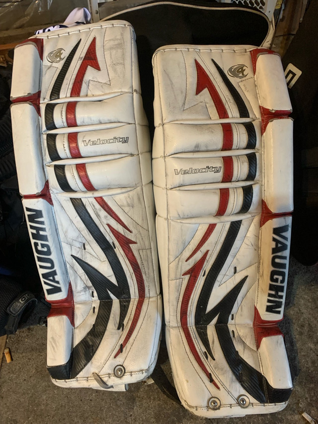 Vaughn goalie set in Hockey in Bathurst