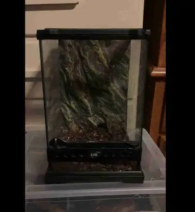 terrarium 8x8x12, View more