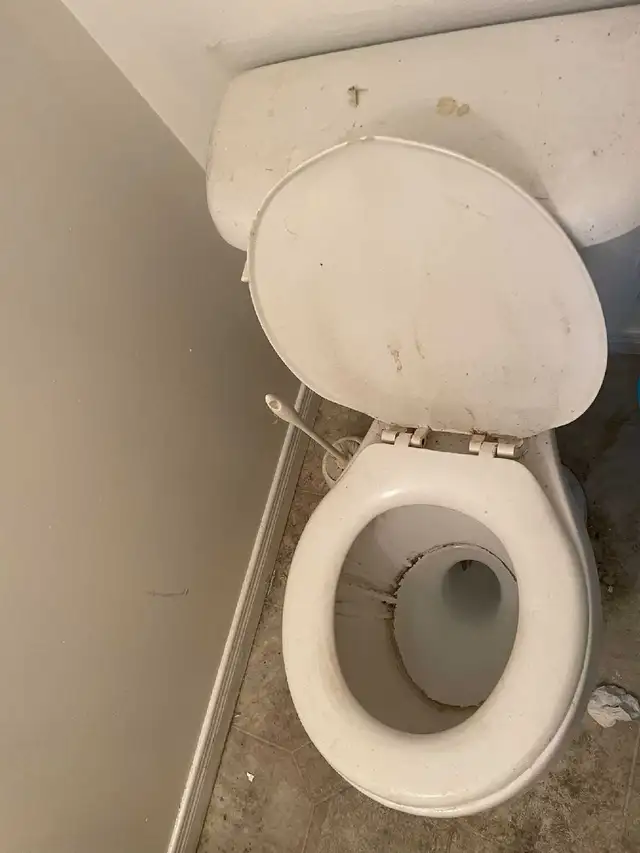 EasyGoing  Cleaning services64141819020547121