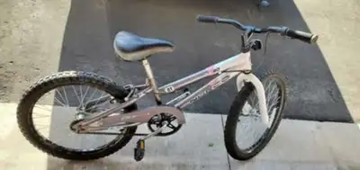 free 20 inch bike, View more