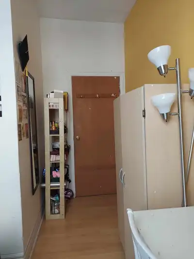 Roommate wanted for July 1st– Coloc recherché.e pour 1er juillet