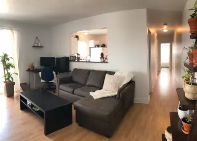 1bdr apt - hull- available now