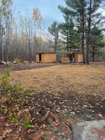 Have 5.5 acres for sale in Lavigne on a quiet year round road. Off grid property. Power is 1000 ft u...