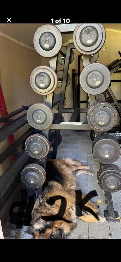 COMMERCIAL DUMBBELL SET + RACK – $1,800 FIRM, View more