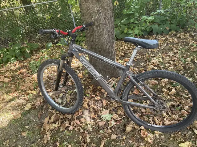 trek bruiser  in Mountain in Kitchener / Waterloo - Image 2