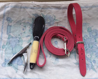 Red Synthetic Strong Dog Leash, Collar, nice brush, and clippers