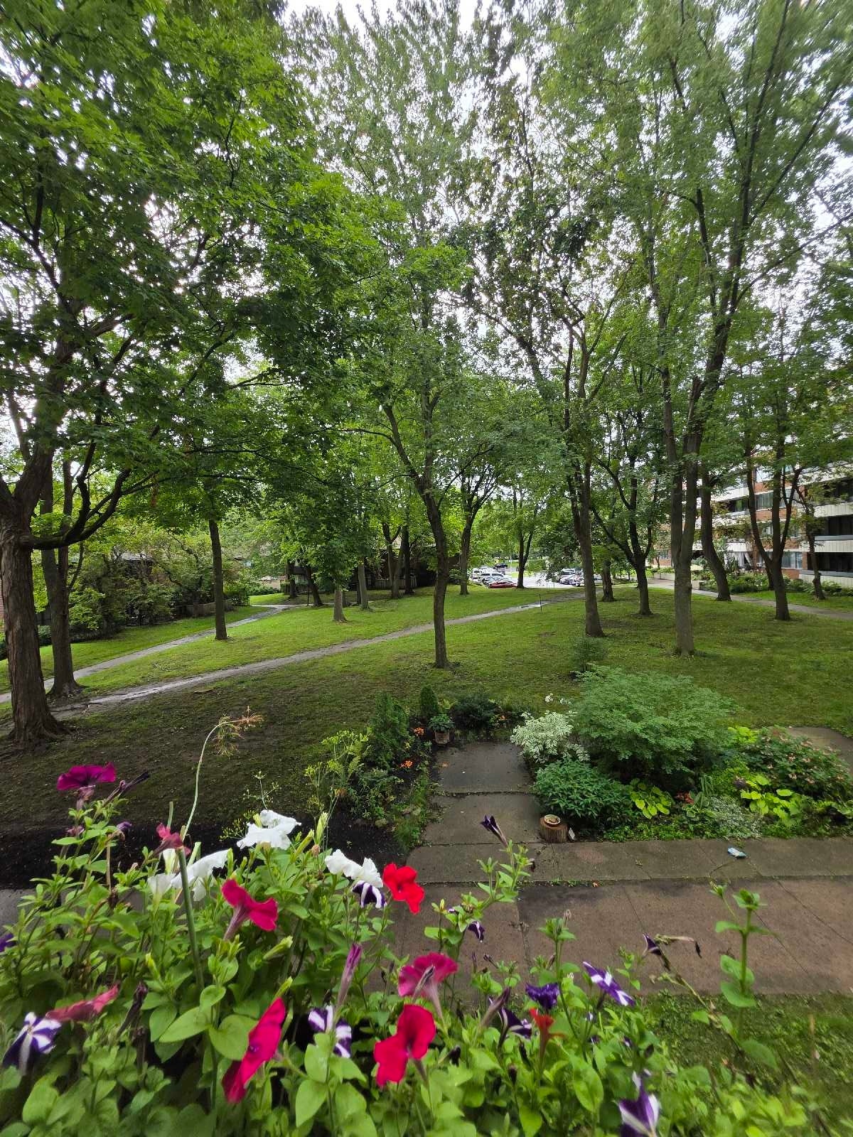 520 Rue de Gaspé — photo 1