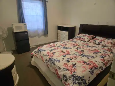 Single private room available for student or young professional