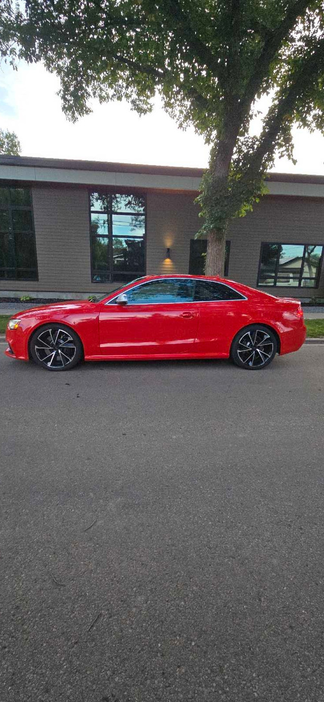 2013 Audi RS5 in Cars & Trucks in Edmonton - Image 4