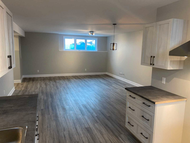 Luxury Lower Unit - Semi Detached Home in Long Term Rentals in Ottawa - Image 3