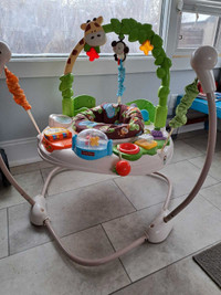 Fisher Price 'Go Wild' Jumparoo