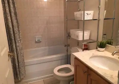Downtown female roommate $1300
