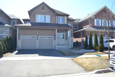 Beautiful Spacious 2 Bedroom Excellent Condition Basemen in Brampton ,Very Nice Neighborhood ● Moder...