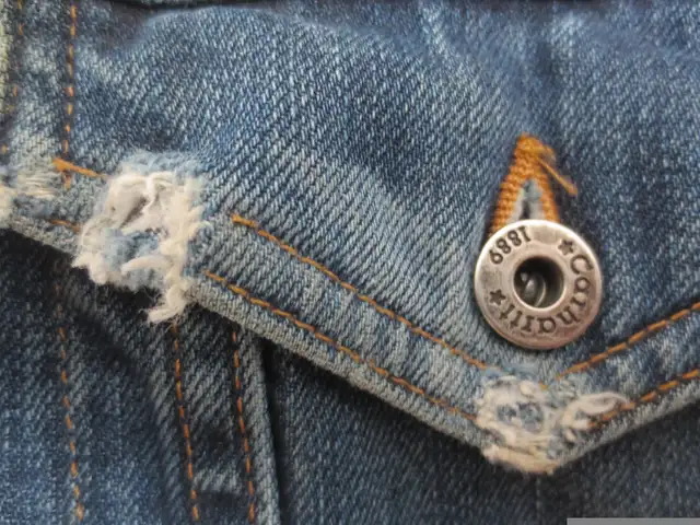 Carhartt Denim Jean Jacket Sherpa Lined J292 ABL Size Small in Men's in Timmins - Image 4