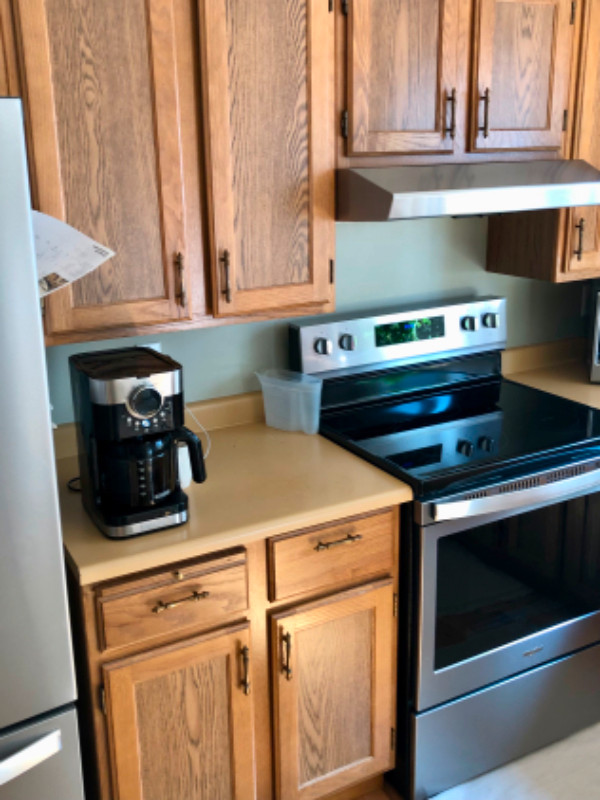 Kitchen used, great condition, gently removed.