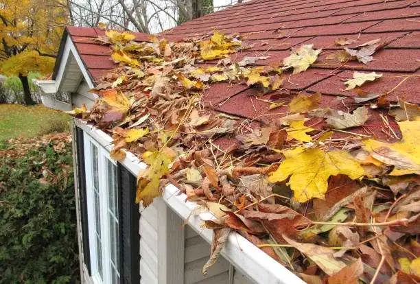Eavestrough cleaning $89. Window cleaning62864740671619121