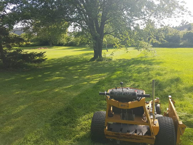 Spring clean up/weekly lawn maintenance in Lawn, Tree Maintenance & Eavestrough in Kingston - Image 2