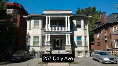 Sandy Hill Basement Bachelor/Studio Apartment for Rent