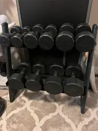 Dumbbell Set With Rack 10lbs to 30lbs