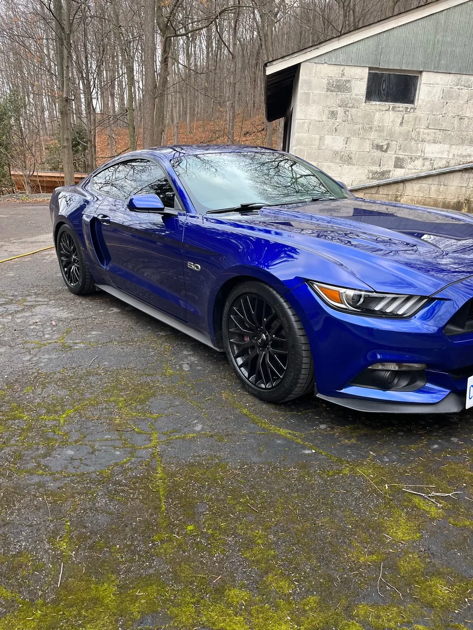 2016 mustang GT Performance 5.0