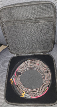 20.5 ft long pair of Audience Studio ONE speaker cables