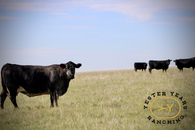 Farm Equipment Operator, View more