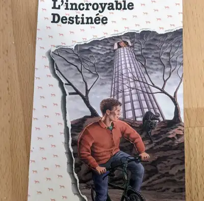 L'Incroyable Destinee - French Novel, View more