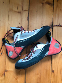 Women’s Rock Climbing shoes (size 41) and harness (size small)