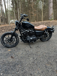 2016 Harley Davidson 883 iron sportster 