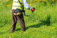 #Commercial & residential grass cutting & property maintain