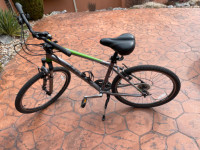 Mens Giant Sedona DX - Hybrid Bike