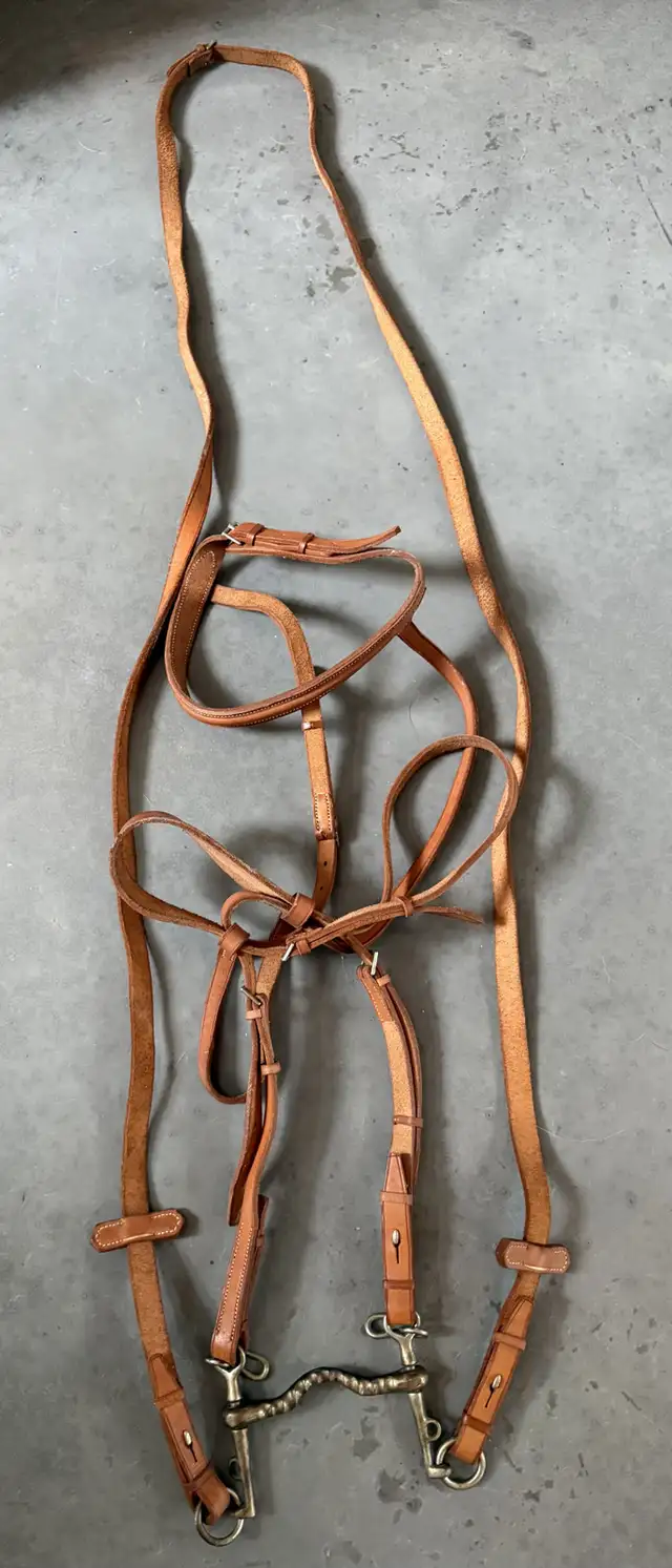 Bride de Cheval en cuir et corde d’attache in Equestrian & Livestock Accessories in Laurentides - Image 3