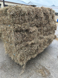 HAY - Small Squares Straight Orchard Grass  
