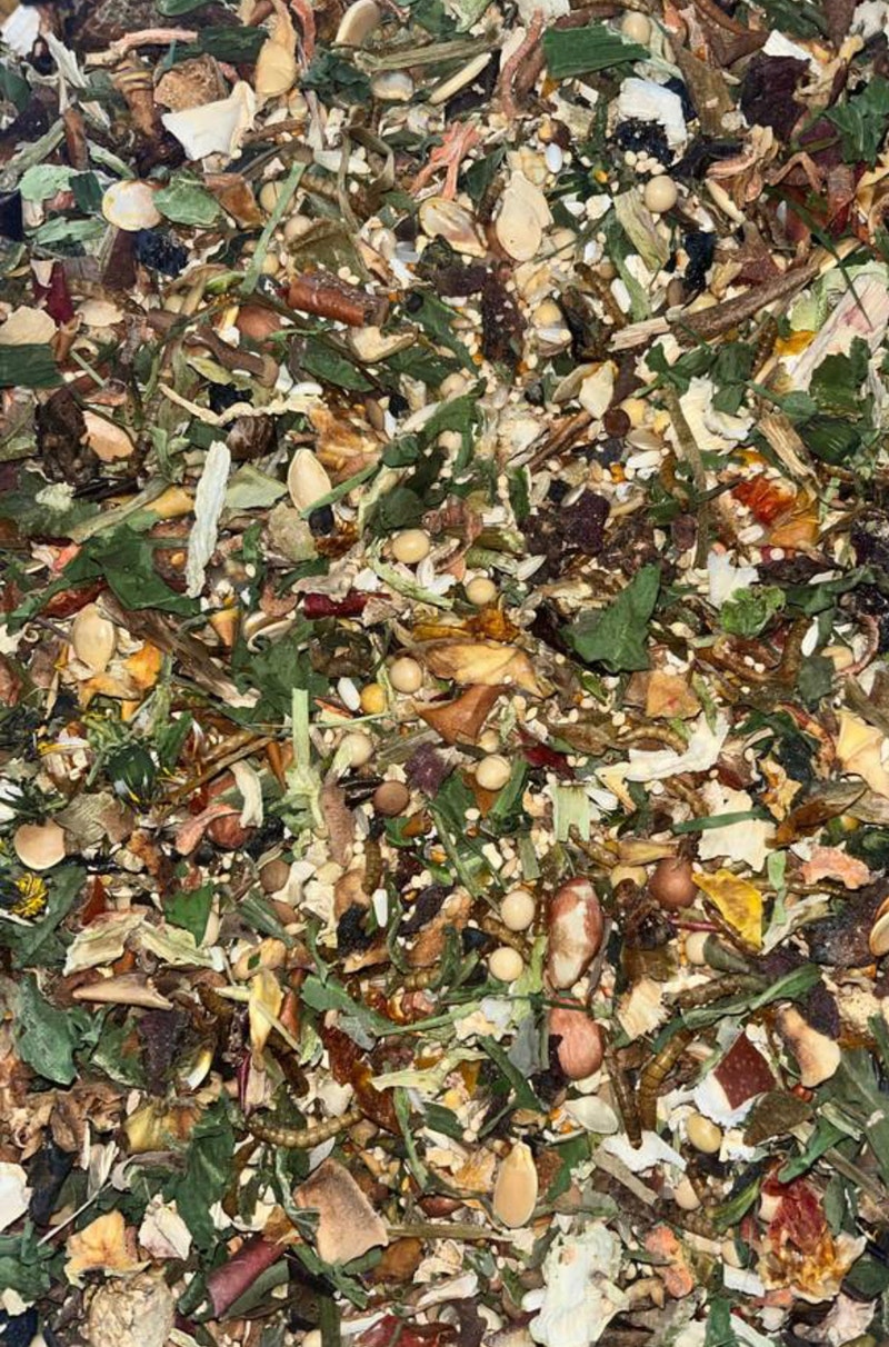 Hamster forage organically grown seed mix and herbs Small Animals