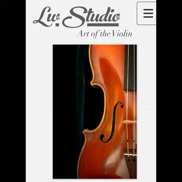 Violin Lesson526667086677288966