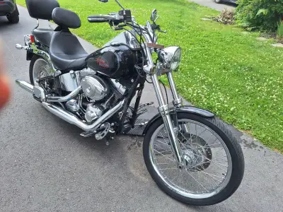 Harley Davidson Softail 2009, 19100 KLM très bonne condition, toujours entreposer dans un garage cha...