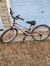 Sportek Ridgerunner Girl 24 inch Mountain bike Best offer