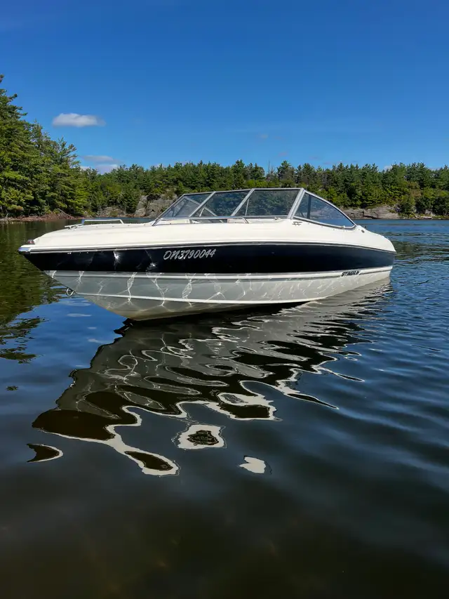 2013 Stingray 195LX in Other in Muskoka - Image 3