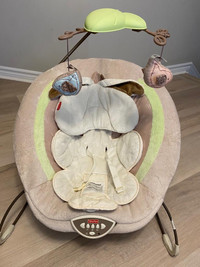 fisher price baby bouncer