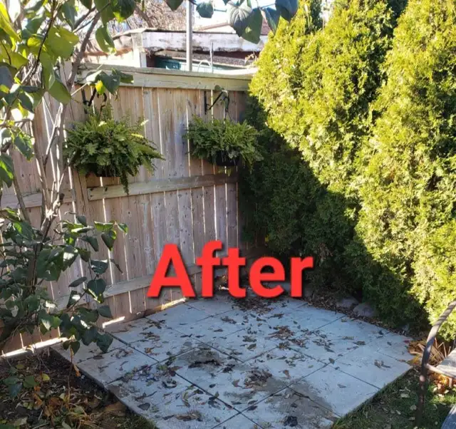 Junk Removal Services Call 569252950741493761