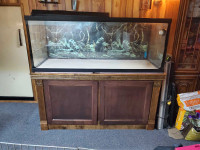 150 gallon aquarium 