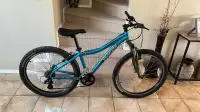 Specialized mountain bike 26”