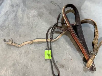 Tie Down Strap, View more