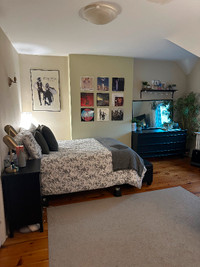 Sublet Private Room (Sandy Hill)