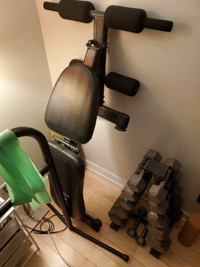 Workout bench and dumbbells