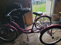 3 wheel schwinn bike for sale