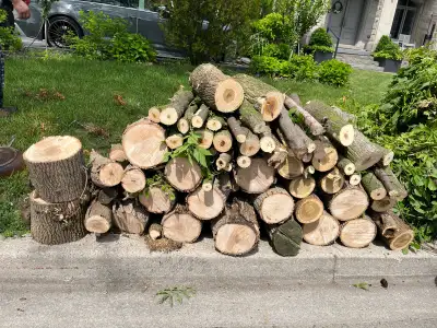 Free Firewood , View more