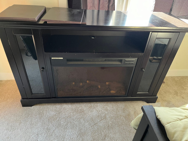 Electric fireplace in Fireplace & Firewood in Hamilton