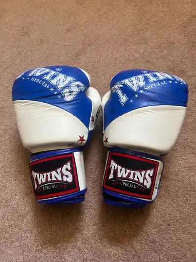 Twins Boxing gloves, View more